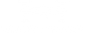Drone Rural
